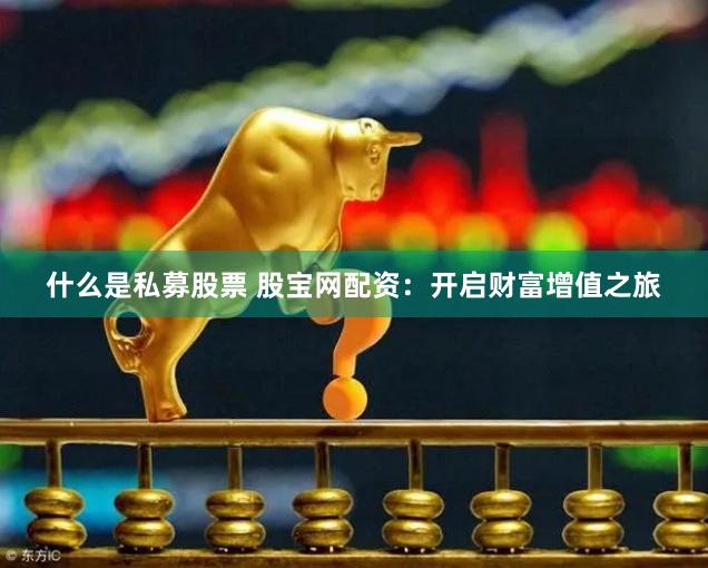 什么是私募股票 股宝网配资：开启财富增值之旅