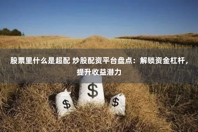 股票里什么是超配 炒股配资平台盘点：解锁资金杠杆，提升收益潜力