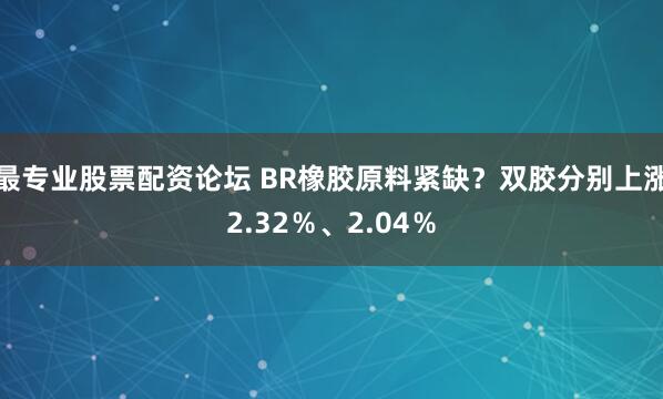 最专业股票配资论坛 BR橡胶原料紧缺？双胶分别上涨2.32％、2.04％