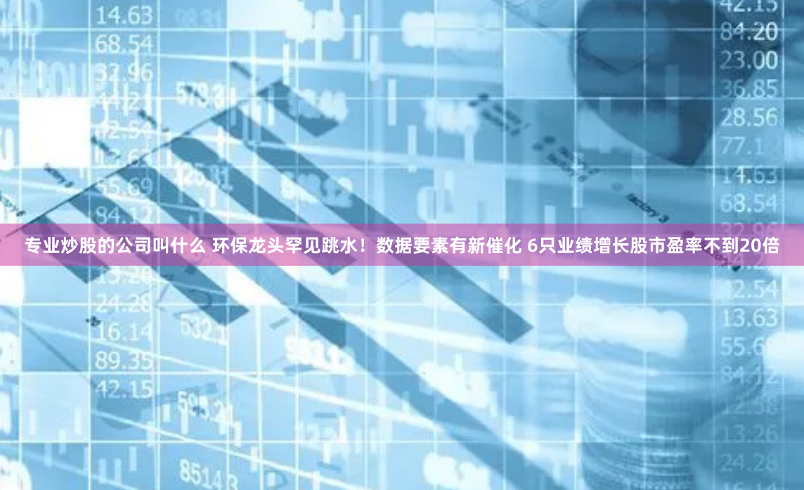 专业炒股的公司叫什么 环保龙头罕见跳水！数据要素有新催化 6只业绩增长股市盈率不到20倍