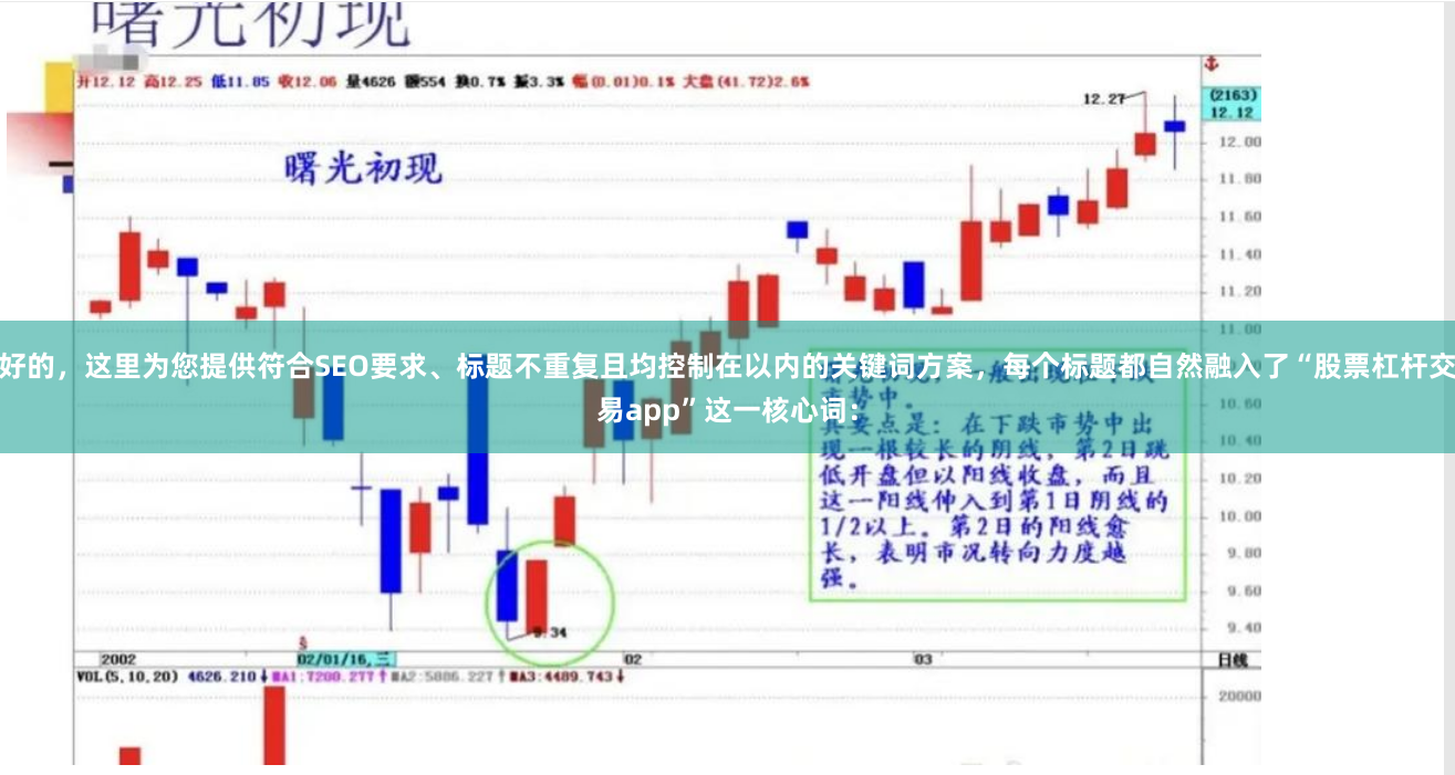 好的，这里为您提供符合SEO要求、标题不重复且均控制在以内的关键词方案，每个标题都自然融入了“股票杠杆交易app”这一核心词：